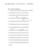 ANTIBODIES SPECIFIC TO CADHERIN-17 diagram and image