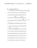 ANTIBODIES SPECIFIC TO CADHERIN-17 diagram and image