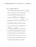 ANTIBODIES SPECIFIC TO CADHERIN-17 diagram and image