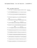 ANTIBODIES SPECIFIC TO CADHERIN-17 diagram and image