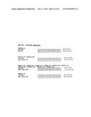 ANTIBODIES SPECIFIC TO CADHERIN-17 diagram and image