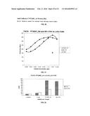 ANTIBODIES SPECIFIC TO CADHERIN-17 diagram and image