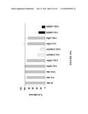 NOVEL ANTI-cMET ANTIBODY diagram and image