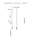 NOVEL ANTI-cMET ANTIBODY diagram and image