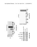 NOVEL ANTI-cMET ANTIBODY diagram and image