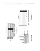 NOVEL ANTI-cMET ANTIBODY diagram and image