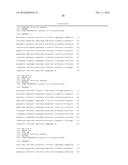 HUMAN PAC1 ANTIBODIES diagram and image