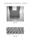 HIGH-THROUGHPUT CULTURE AND TRANSFER DEVICE AND METHOD diagram and image