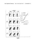 MULTI-CHAIN EUKARYOTIC DISPLAY VECTORS AND USES THEREOF diagram and image