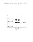 MULTI-CHAIN EUKARYOTIC DISPLAY VECTORS AND USES THEREOF diagram and image