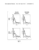 MULTI-CHAIN EUKARYOTIC DISPLAY VECTORS AND USES THEREOF diagram and image