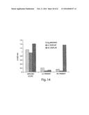 MULTI-CHAIN EUKARYOTIC DISPLAY VECTORS AND USES THEREOF diagram and image