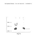 MULTI-CHAIN EUKARYOTIC DISPLAY VECTORS AND USES THEREOF diagram and image