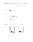 IRES Elements for Expression of Polypeptides and Methods of Using the Same diagram and image