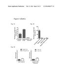 IRES Elements for Expression of Polypeptides and Methods of Using the Same diagram and image