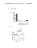 IRES Elements for Expression of Polypeptides and Methods of Using the Same diagram and image