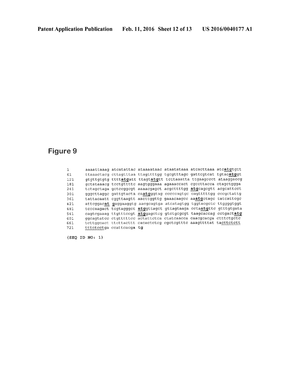 IRES Elements for Expression of Polypeptides and Methods of Using the Same - diagram, schematic, and image 13