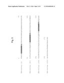 PHI-4 POLYPEPTIDES AND METHODS FOR THEIR USE diagram and image