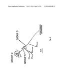 Intergenic Sites Between Conserved Genes in the Genome of Modified     Vaccinia Ankara (MVA) Vaccinia Virus diagram and image