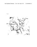 GLYCOSYL HYDROLASE XYLANASES, COMPOSITIONS AND METHODS OF USE FOR     EFFICIENT HYDROLYSIS AND PROCESSING OF XYLAN diagram and image