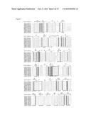 GLYCOSYL HYDROLASE XYLANASES, COMPOSITIONS AND METHODS OF USE FOR     EFFICIENT HYDROLYSIS AND PROCESSING OF XYLAN diagram and image