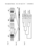 GLYCOSYL HYDROLASE XYLANASES, COMPOSITIONS AND METHODS OF USE FOR     EFFICIENT HYDROLYSIS AND PROCESSING OF XYLAN diagram and image