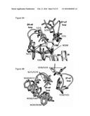 GLYCOSYL HYDROLASE XYLANASES, COMPOSITIONS AND METHODS OF USE FOR     EFFICIENT HYDROLYSIS AND PROCESSING OF XYLAN diagram and image