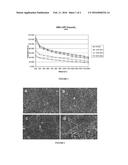 Fibers of Polymer-Wax Compositions diagram and image