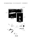SYSTEM AND METHOD FOR WIDE FIELD OCT IMAGING diagram and image
