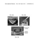 METHODS AND APPARATUS FOR TRAPPING AND SIZE RESOLUTION OF NANOPARTICLES     AND NANOBUBBLES diagram and image