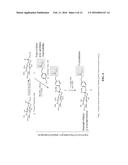 METHODS AND KITS FOR THE DIAGNOSIS OF INFLUENZA diagram and image
