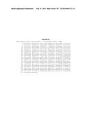 USING PHAGE EPITOPES TO PROFILE THE IMMUNE RESPONSE diagram and image