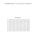 USING PHAGE EPITOPES TO PROFILE THE IMMUNE RESPONSE diagram and image