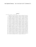 USING PHAGE EPITOPES TO PROFILE THE IMMUNE RESPONSE diagram and image