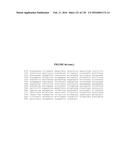 USING PHAGE EPITOPES TO PROFILE THE IMMUNE RESPONSE diagram and image