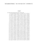 USING PHAGE EPITOPES TO PROFILE THE IMMUNE RESPONSE diagram and image