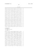 USING PHAGE EPITOPES TO PROFILE THE IMMUNE RESPONSE diagram and image