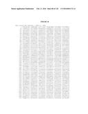 USING PHAGE EPITOPES TO PROFILE THE IMMUNE RESPONSE diagram and image