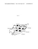 Fibronectin Type III Repeat Based Protein Scaffolds with Alternative     Binding Surfaces diagram and image