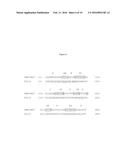 Fibronectin Type III Repeat Based Protein Scaffolds with Alternative     Binding Surfaces diagram and image