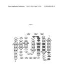 Fibronectin Type III Repeat Based Protein Scaffolds with Alternative     Binding Surfaces diagram and image