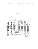 Fibronectin Type III Repeat Based Protein Scaffolds with Alternative     Binding Surfaces diagram and image