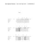 Fibronectin Type III Repeat Based Protein Scaffolds with Alternative     Binding Surfaces diagram and image