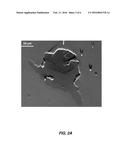 Broadband Absorptive Neutral Density Optical Filter diagram and image