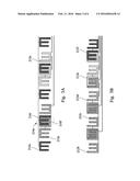 TOUCH ELECTRODE STRUCTURE AND TOUCH PANEL USING THE SAME diagram and image