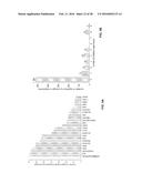 Computer Implemented Model Of Biological Networks diagram and image