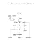 Computer Implemented Model Of Biological Networks diagram and image