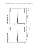 Computer Implemented Model Of Biological Networks diagram and image