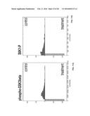 Computer Implemented Model Of Biological Networks diagram and image