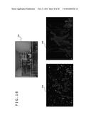 INFORMATION PROCESSOR, INFORMATION PROCESSING METHOD, AND COMPUTER PROGRAM diagram and image